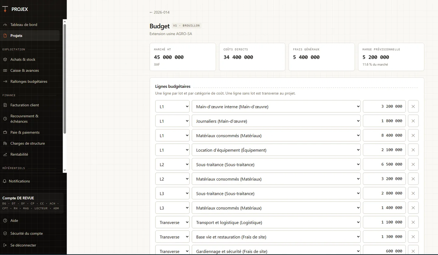 Projex: project budget, one line per work package and cost category (test data)